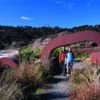 Rakiura Track, Stewart Island