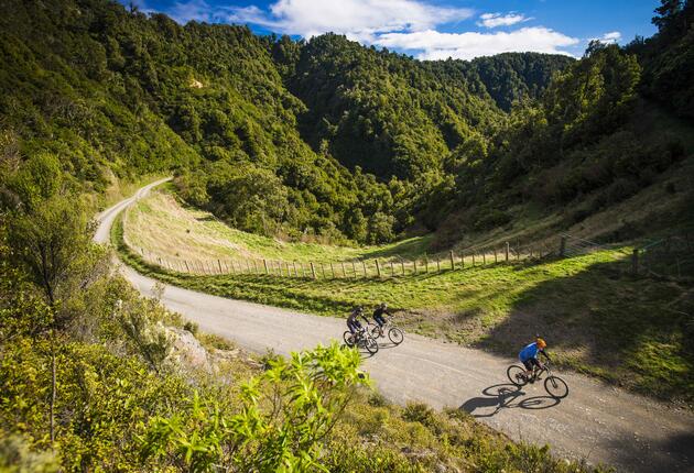 Während du Neuseelands vielfältige Rad- und Mountainbike-Wege erkundest, wetteifern atemberaubende Landschaften und vielfältige lokale Attraktionen um deine Aufmerksamkeit. Erfahre mehr über die fantastischen Touren in Neuseeland.