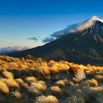 Taranaki - Things to see and do | North Island | New Zealand