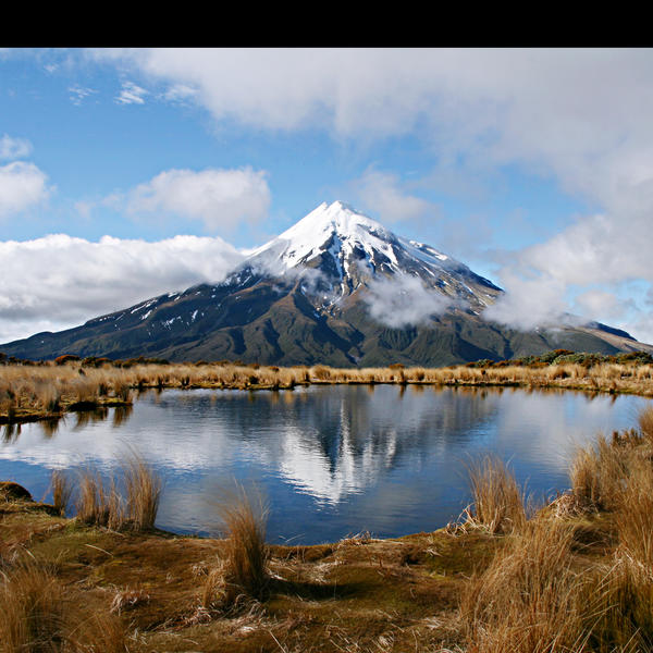 Egmont National Park - Things to see and do - Taranaki | New Zealand