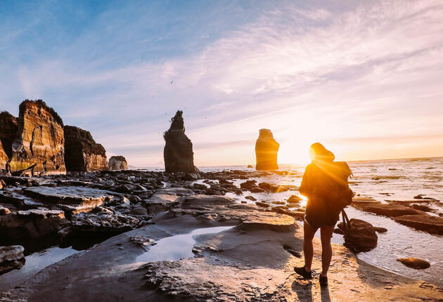 The beautiful region of Taranaki offers a huge range of adventurous day walks - enjoy lush native forest filled with birdsong, and stunning views of mighty Taranaki Maunga.