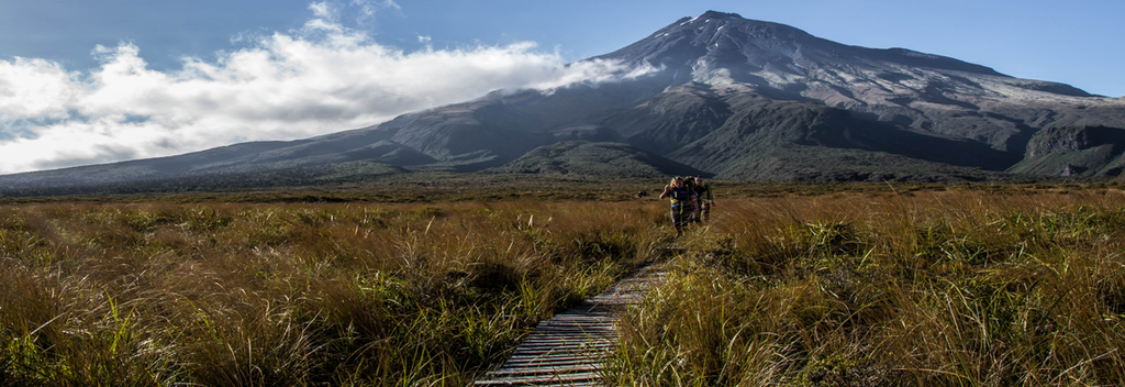 Wandern auf dem Holzsteg über die Awakawakawa-Sumpflandschaft, die Teil der Pouakai Crossing-Tageswanderung ist.