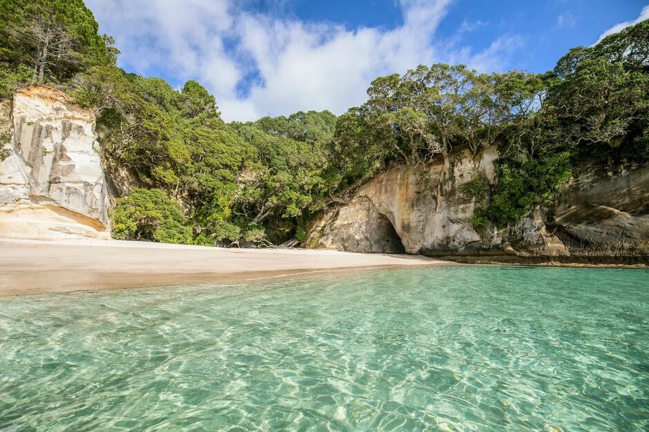 Mautohe Cathedral Cove