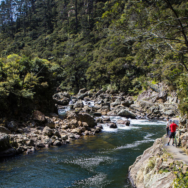 Hauraki Rail Trail | Hamilton - Waikato, New Zealand