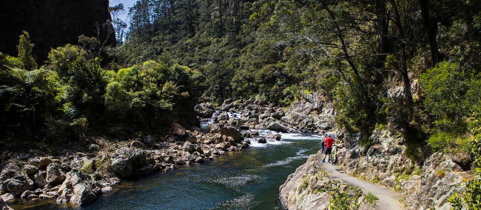 hauraki cycle trail