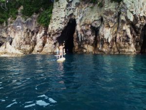 Donut Island, Whangamatā