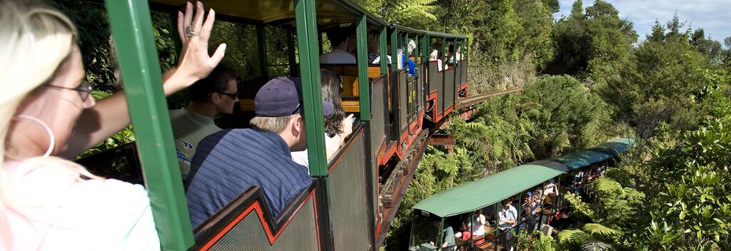 Driving Creek Railway is a popular attraction just 3km from Coromandel township