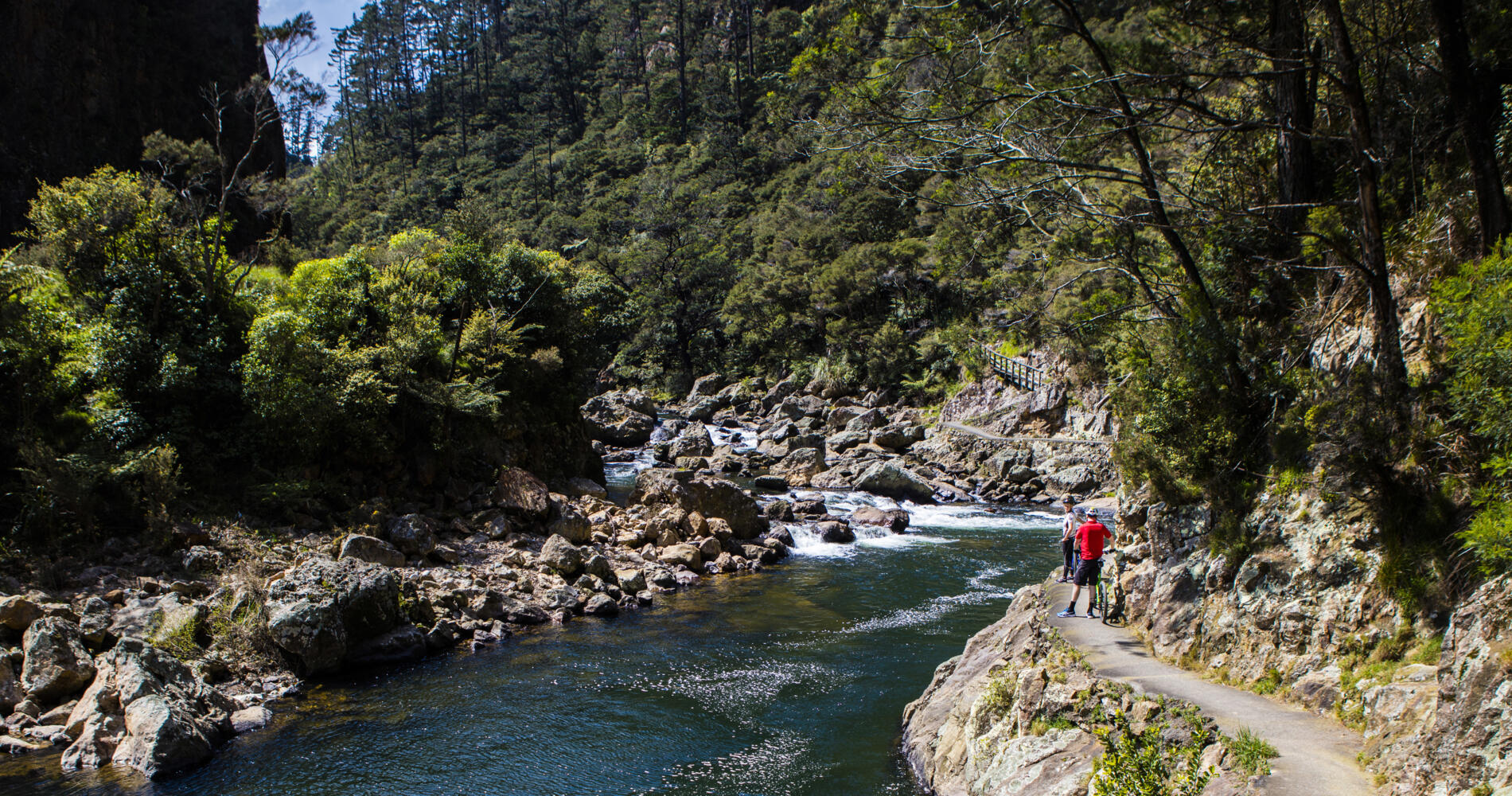 Hauraki Rail Trail Itinerary | The Coromandel, New Zealand