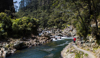 Featuring stunning scenery and a rich mining history, the Karangahake Gorge leg of Hauraki Rail Trail is certainly impressive.