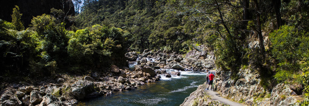 Featuring stunning scenery and a rich mining history, the Karangahake Gorge leg of Hauraki Rail Trail is certainly impressive.