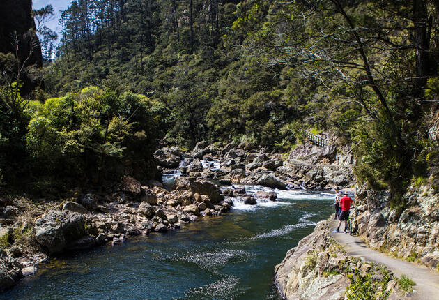 Embrace unique adventures, friendly locals and gold mining history along the Hauraki Rail Trail.