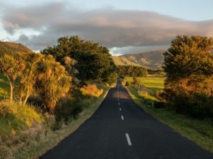 The scenic countryside from Thames to Ta Aroha