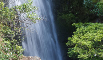 Take the Waterfall Track for this beautiful view of the Wentworth Falls.