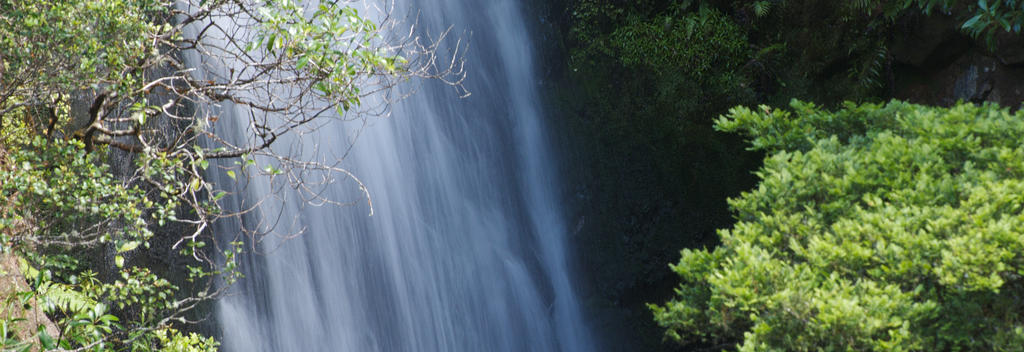 Take the Waterfall Track for this beautiful view of the Wentworth Falls.