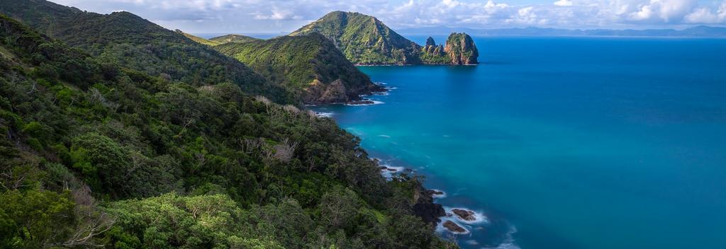 Coromandel Coastal Walkway