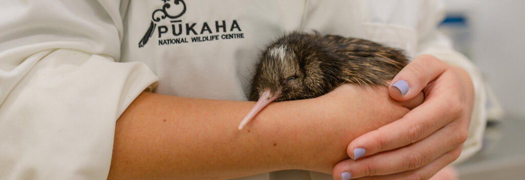 Pūkaha National Wildlife Centre