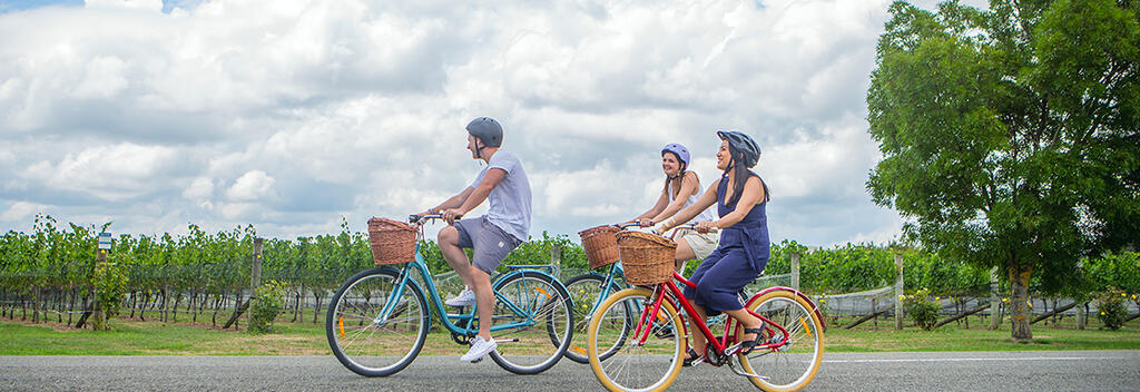 Cycling among the vines, Martinborough