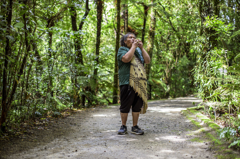 Bird call at Pūkaha National Wildlife Centre, Mount Bruce