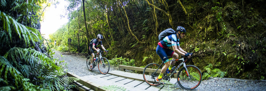 This cycle trail cuts through the bush-clad Remutaka Mountain Range, passing through tunnels on an old rail trail.