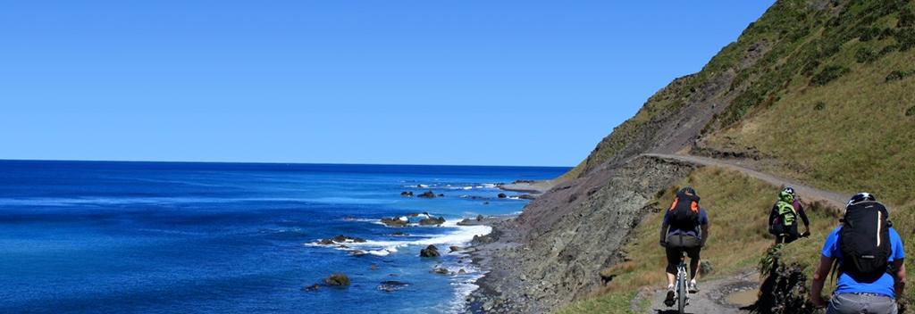 Remutaka Cycle trail