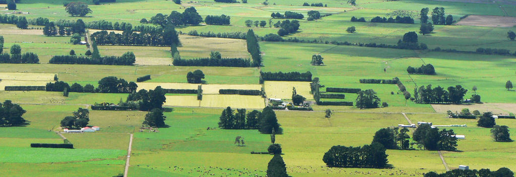 Part of the Wairarapa Valley, near Carterton.