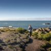 Seal Viewing Walk