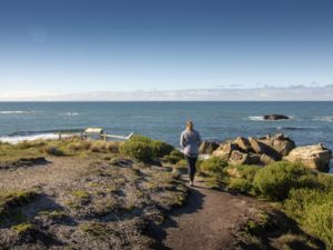 Seal Viewing Walk