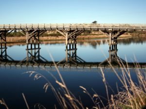 Kakanui Bridge