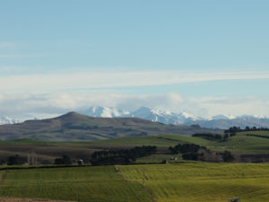 Maheno countryside