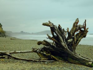 Hampden Beach