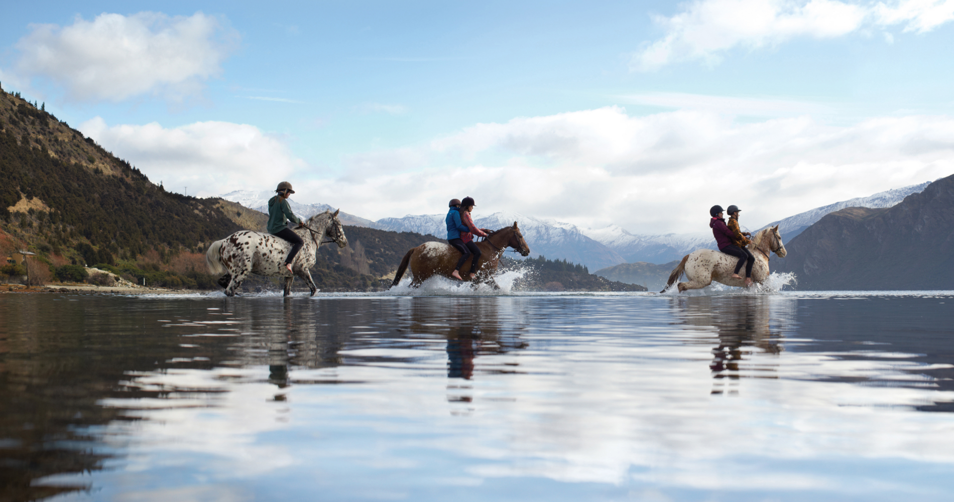 Are riding. Новозеландские лошади. Новая Зеландия лошади. Конный спорт в новой Зеландии. Лошади в Зеландии.