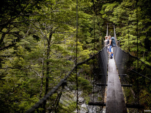 Mount Aspiring National Park Wanaka South Island New Zealand