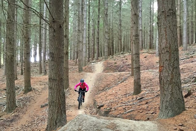 new forest mountain bike trails