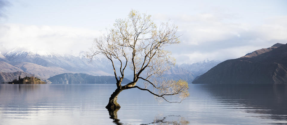 Lake Wanaka - Adventure Activities - South Island | New Zealand