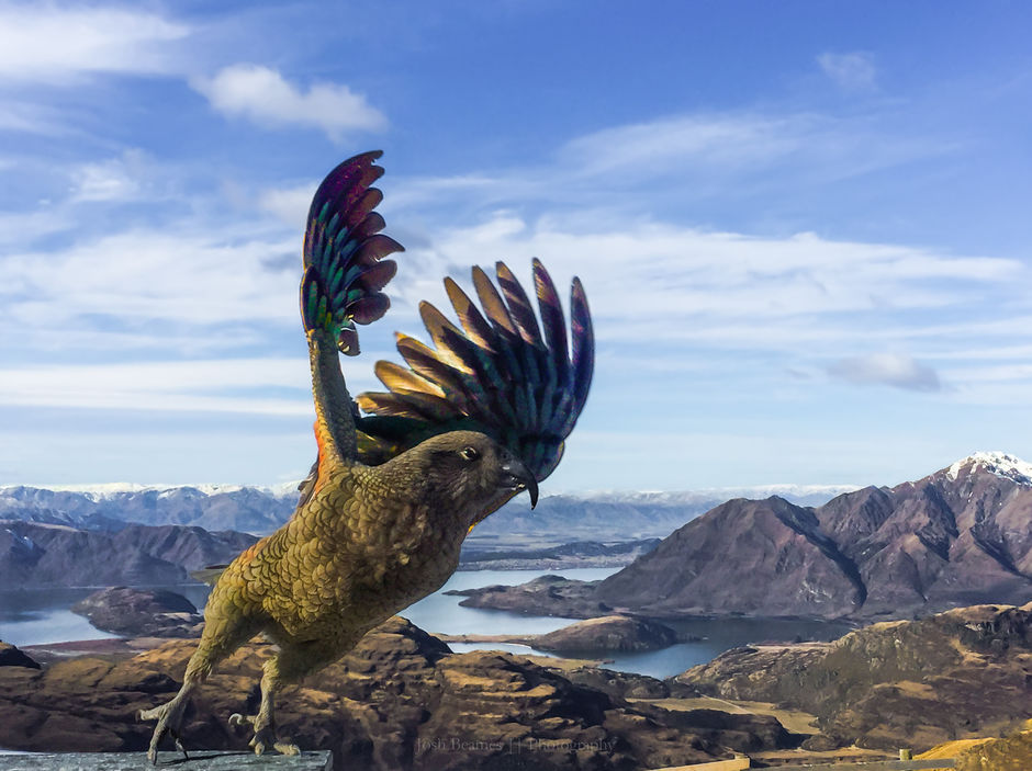 Kea, Treble Cone