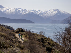 ワナカ湖畔にある一連のトレイル網のひとつ。ワナカ湖とアスパイアリング山の素晴らしい眺めが楽しめます。