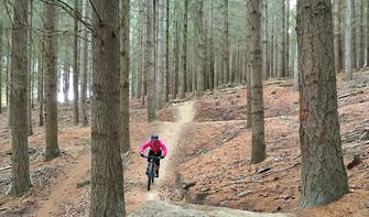 Enjoy a smorgasbord of undulating pine forest trails within freewheeling distance of Wānaka.