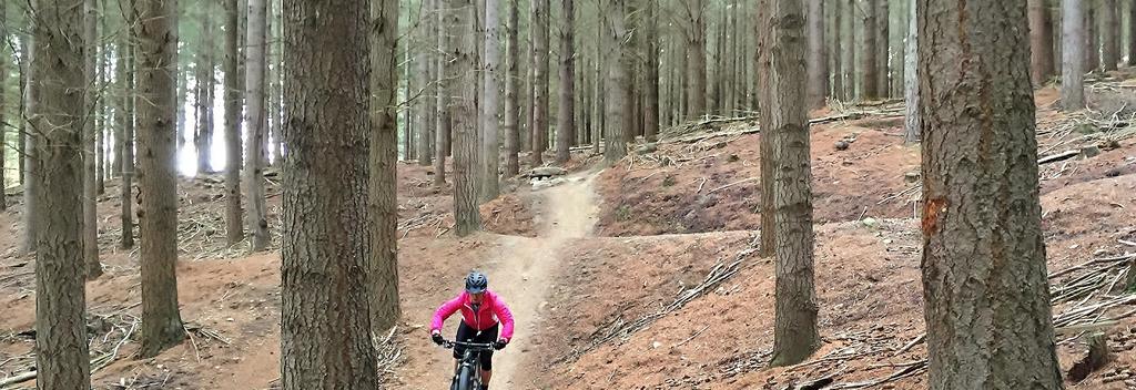 Enjoy a smorgasbord of undulating pine forest trails within freewheeling distance of Wānaka.