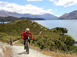 Winding hrough bush and beaches and past vineyards and farms, the Glendhu Bay Track is a singletrack mountain bike trail in Wanaka.