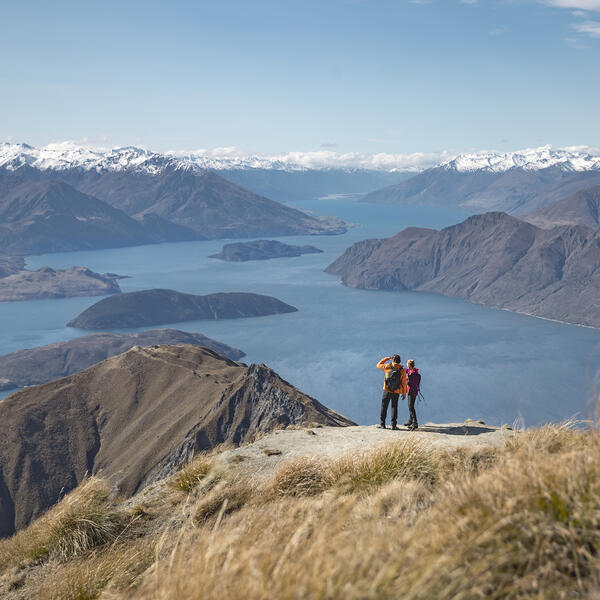 Roys Peak Track