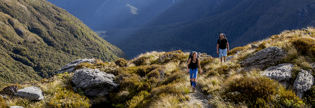 French Ridge Track in Mt Aspiring National Park.