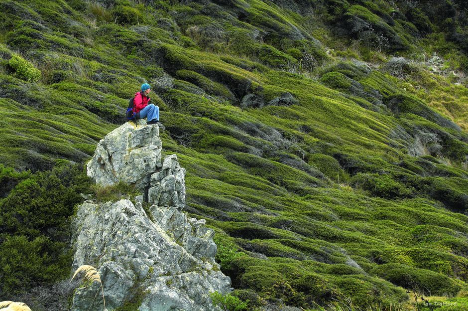 Be nature-inspired at the north end of Kāpiti Island.