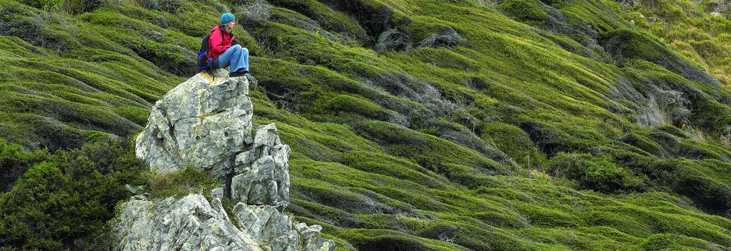 Be nature-inspired at the north end of Kapiti Island.