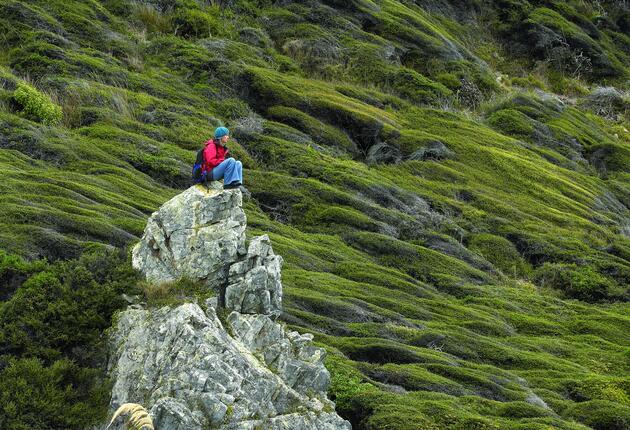 Kāpiti Island is a nature reserve hosting some of New Zealand’s most endangered birds. Its protected waters are home to an abundance of marine life.