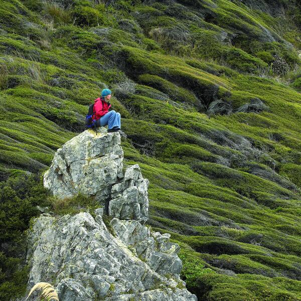 Be nature-inspired at the north end of Kāpiti Island.