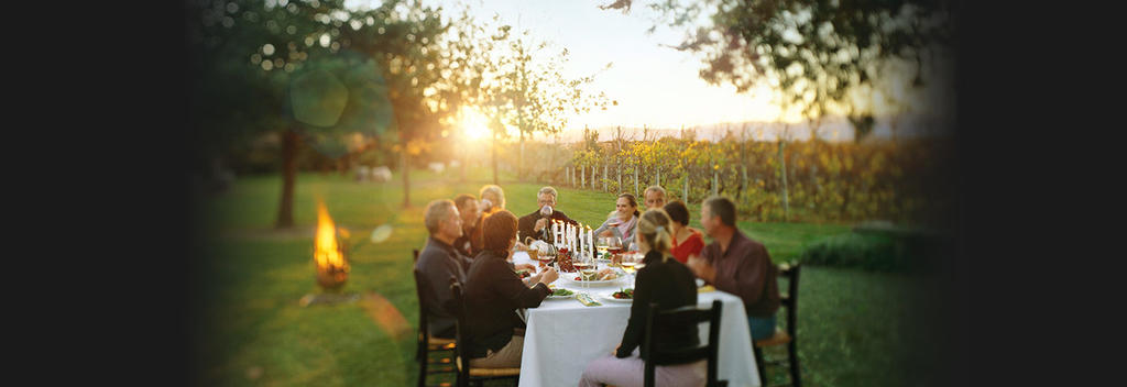 Vineyard in Martinborough