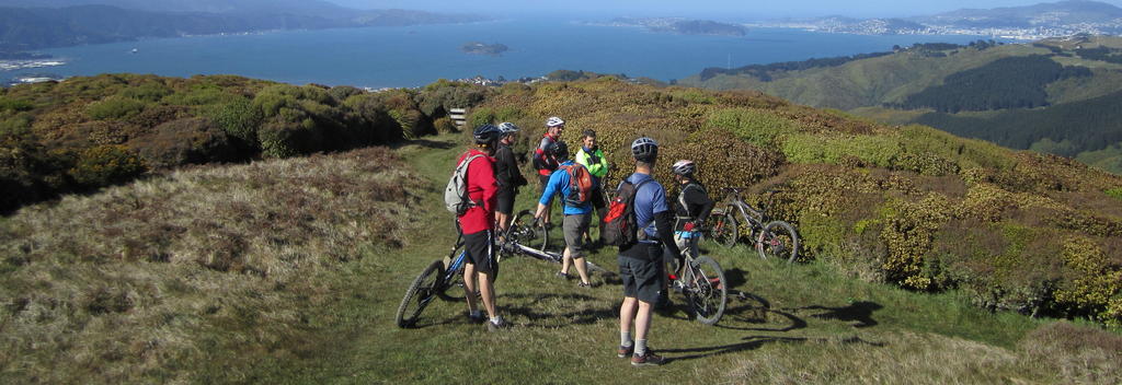 Belmont Regional Park Wellington New Zealand