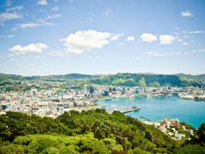 Get a panoramic view of city and harbour, and a great photo opportunity at the Mount Victoria Lookout.