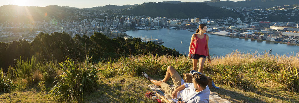 Enjoy fantastic city and harbour views from Mount Victoria in Wellington.