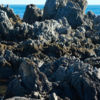 A coastal walks to the Red Rocks Reserve, south of Wellington, features glorious views and even a fur seal colony.